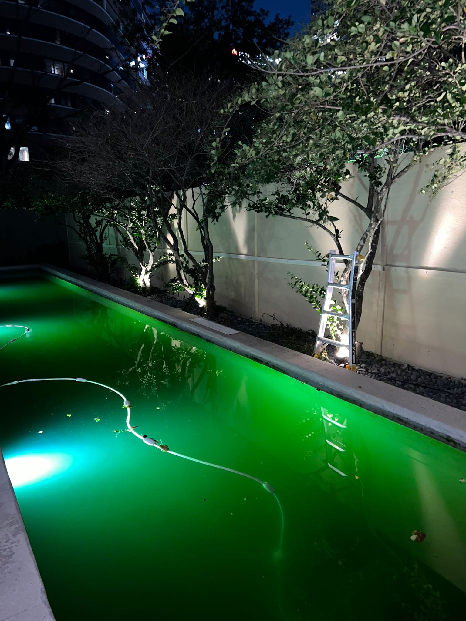 Swimming pool lit green at night beside a tall solid fence in League City