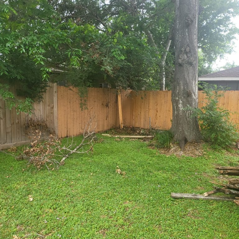 Pine privacy fence along the back of a shaded yard under large trees