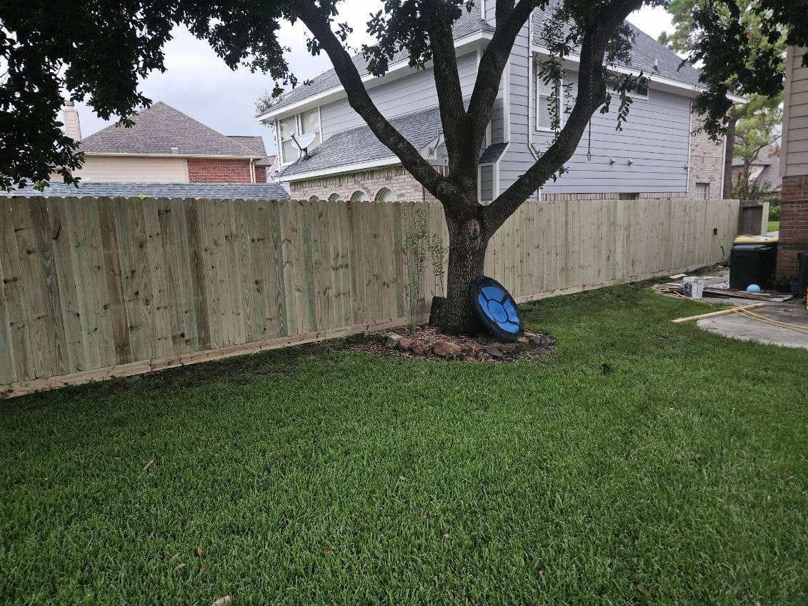 Wood privacy fence around a lawn with a mature tree