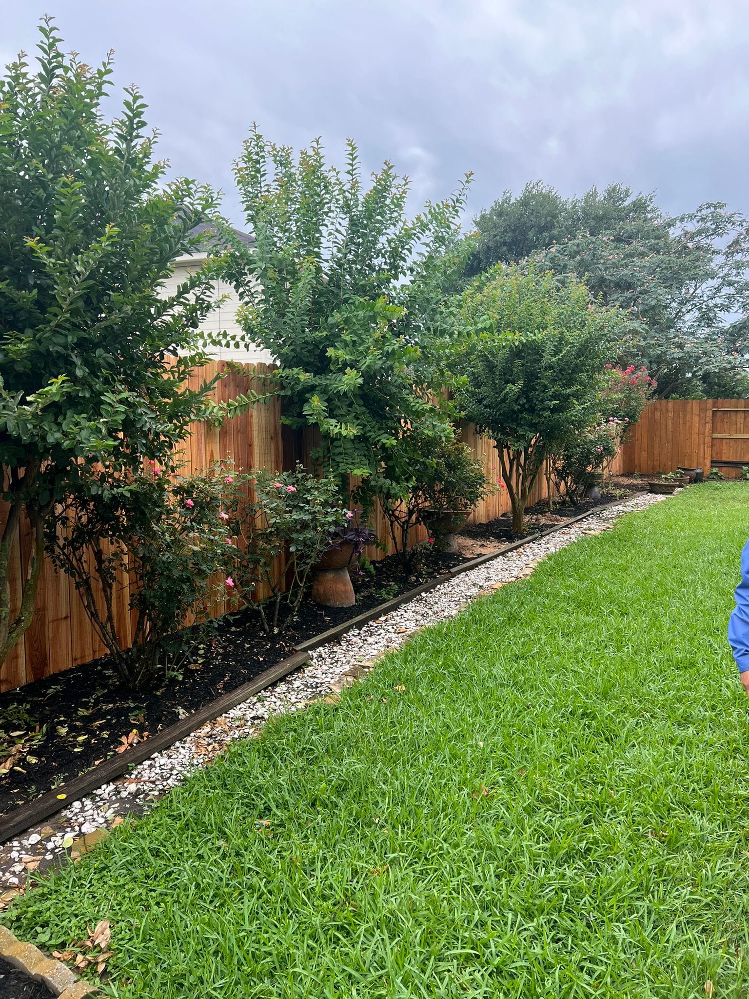 Red western cedar privacy fence behind a shrub border in La Marque