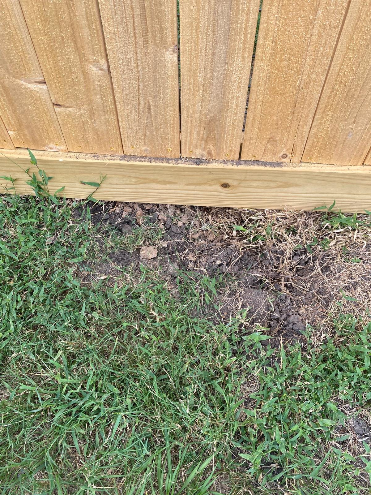 Close view of the base of a wood fence with a treated kickboard