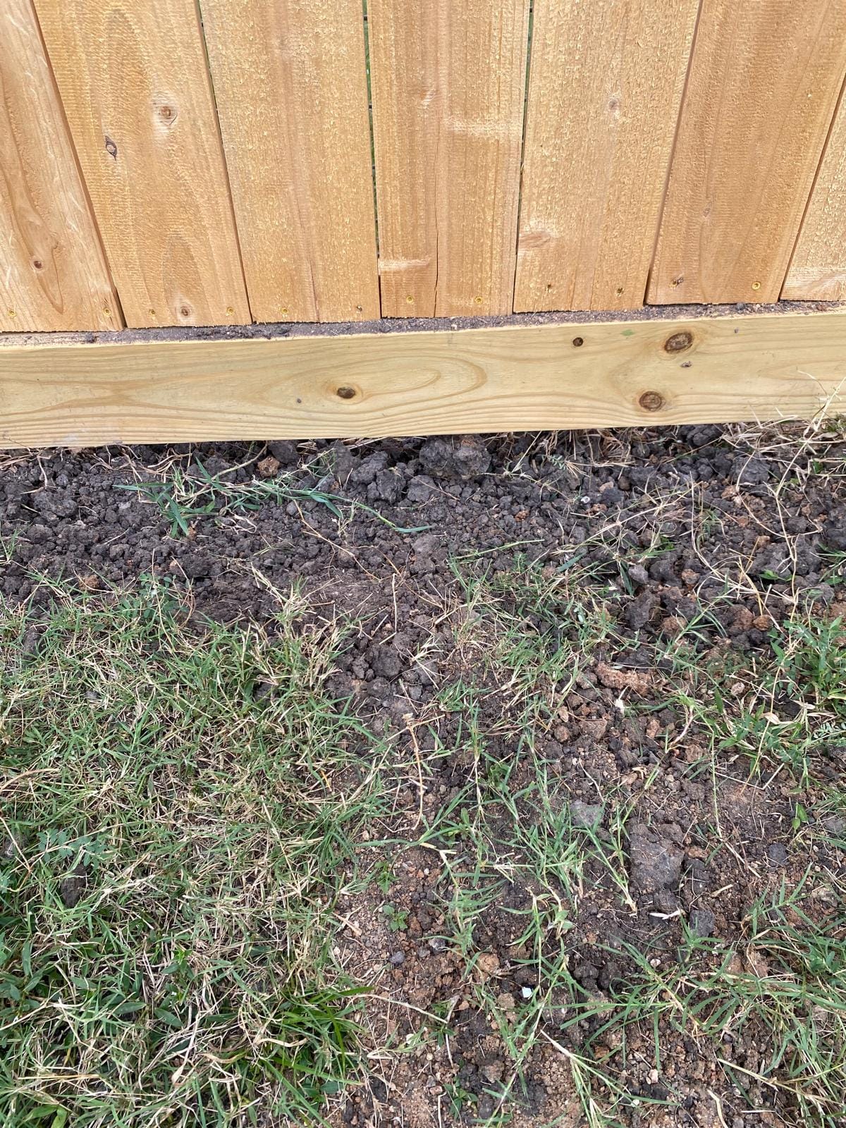 Close-up of a cedar fence board and post at ground level