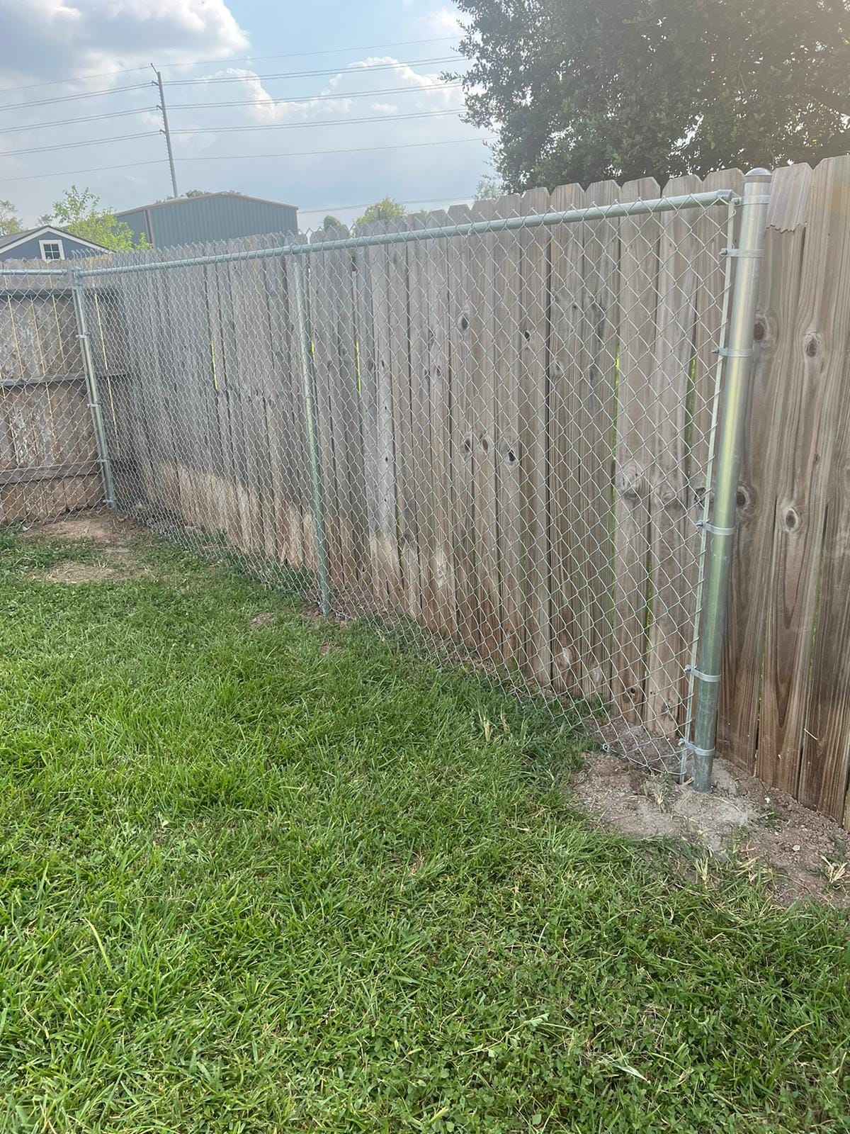 Galvanized chain link fence with a top rail running along a lawn directly in front of an older wood privacy fence