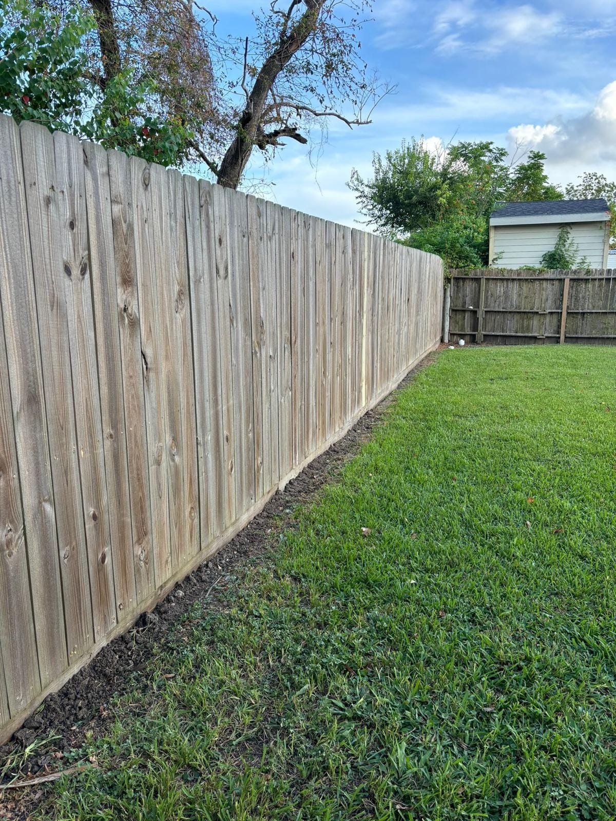 Long wood privacy fence running along the edge of a lawn in Kemah