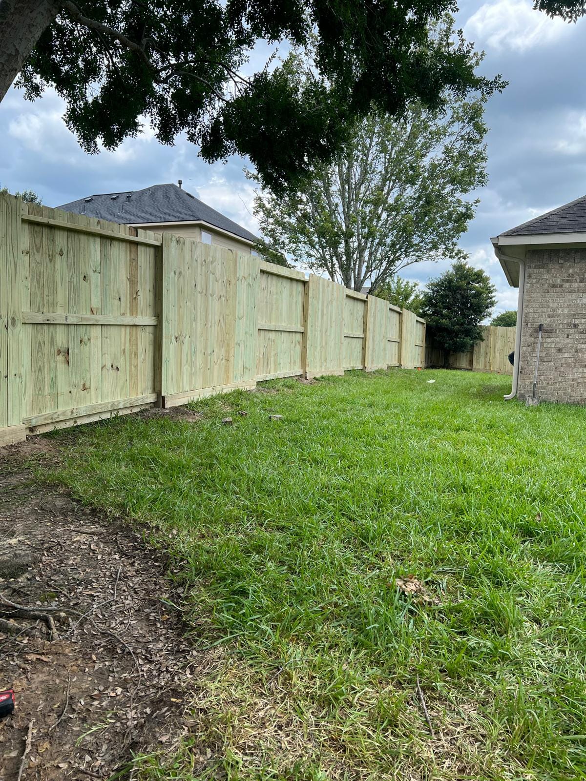 New pressure-treated pine privacy fence running along a back lawn between houses, with its posts and rails facing the camera