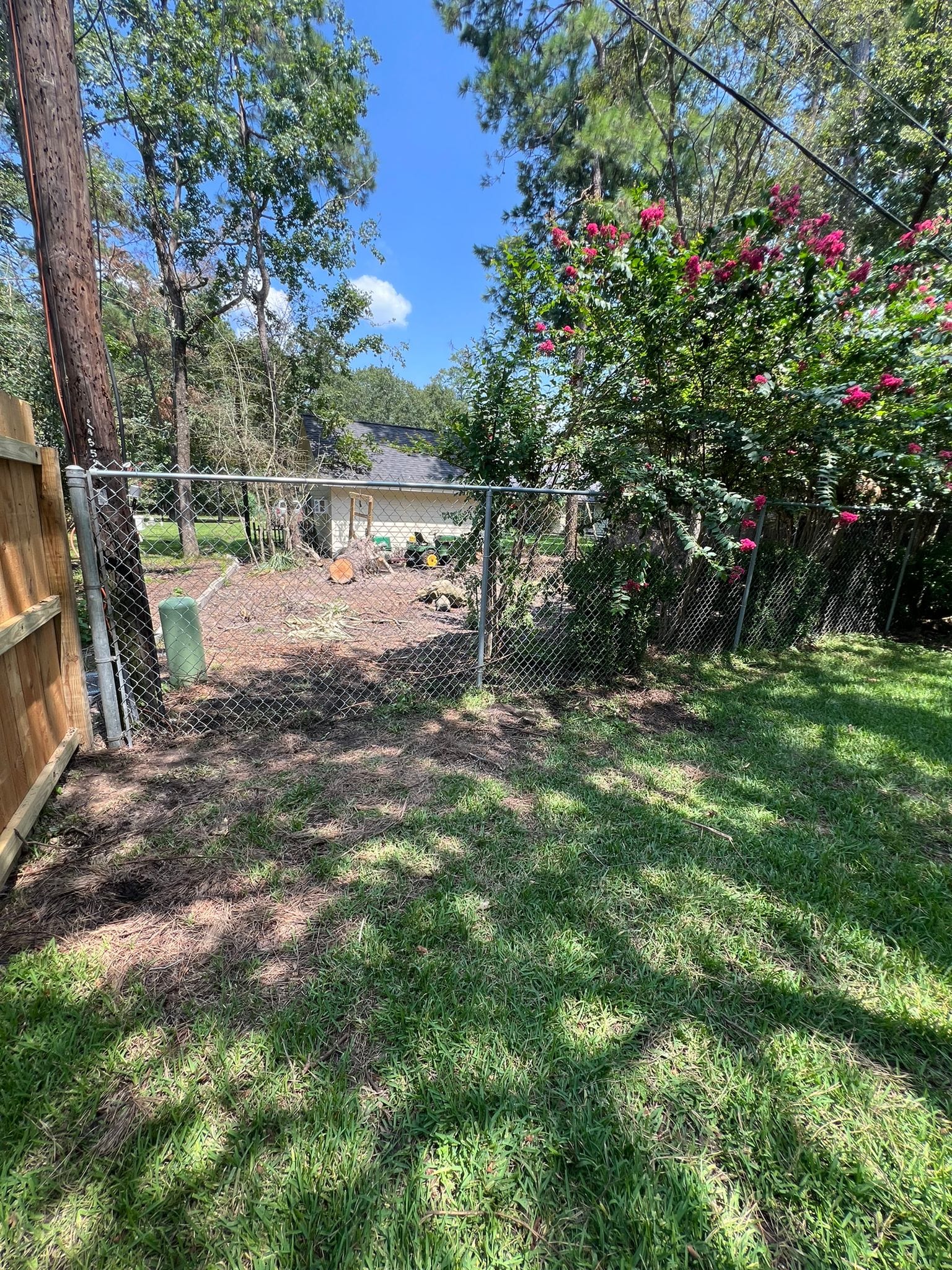 Chain link fence across a tree-shaded back yard