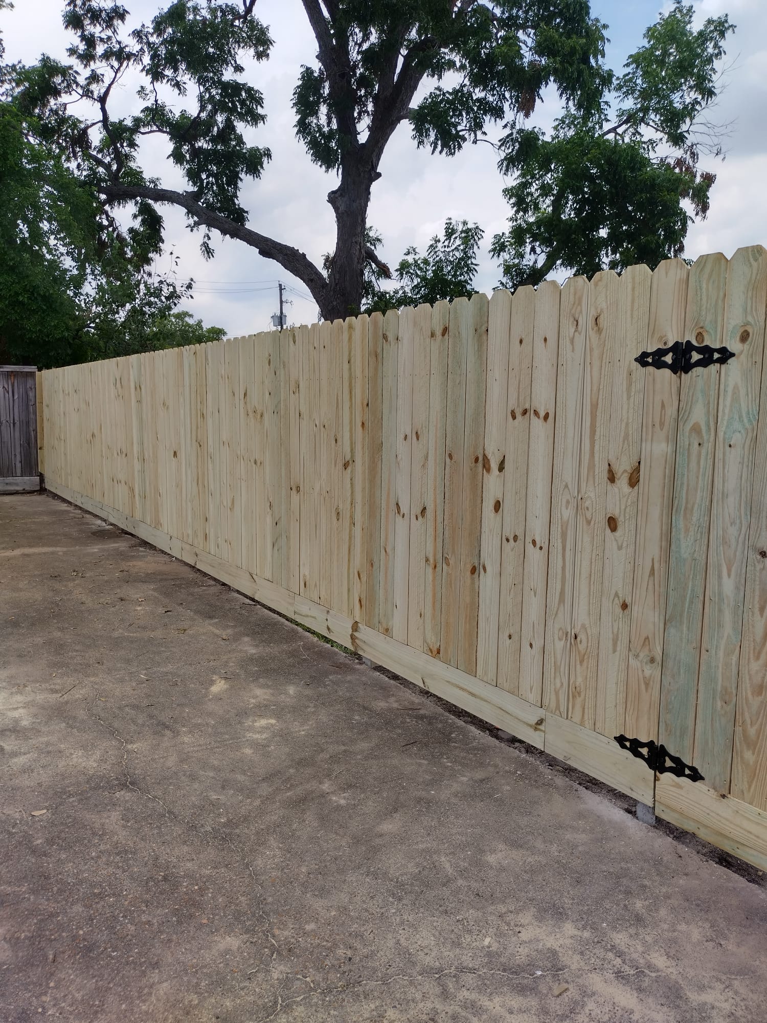 Custom Fence Design in Galveston, TX