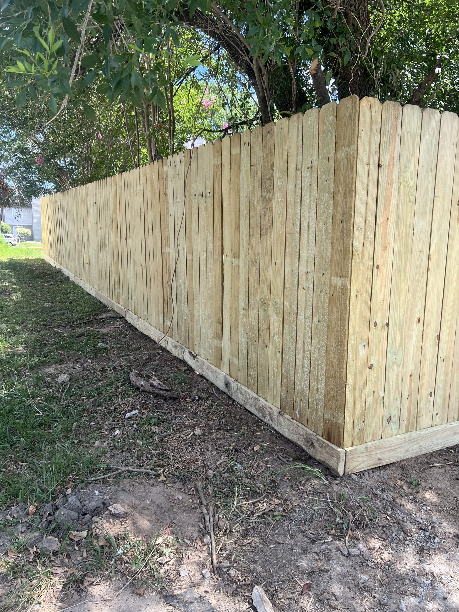 New unfinished pine privacy fence with a bottom rot board running along a partly shaded yard