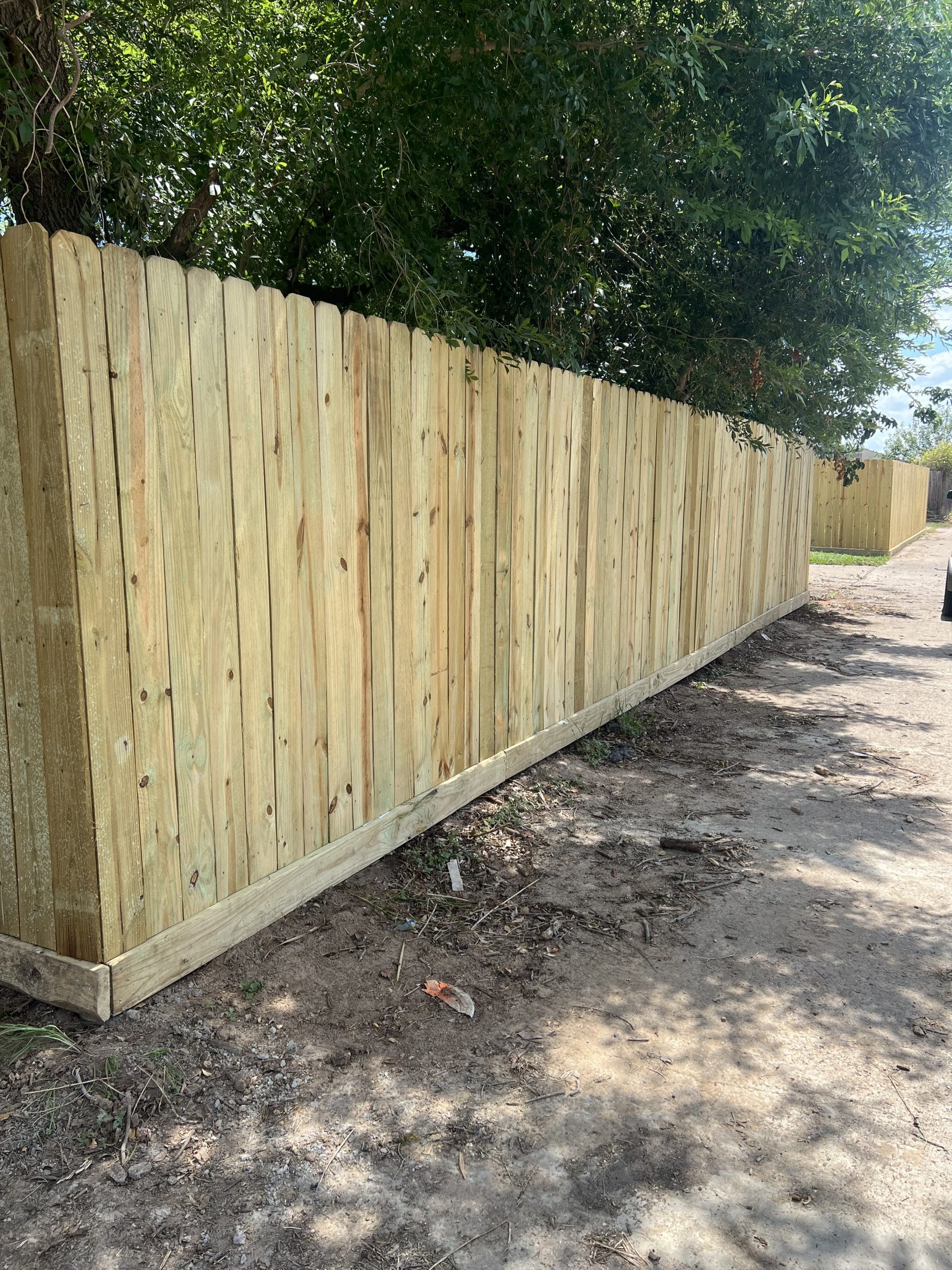New unstained pine privacy fence running along a tree-lined dirt path