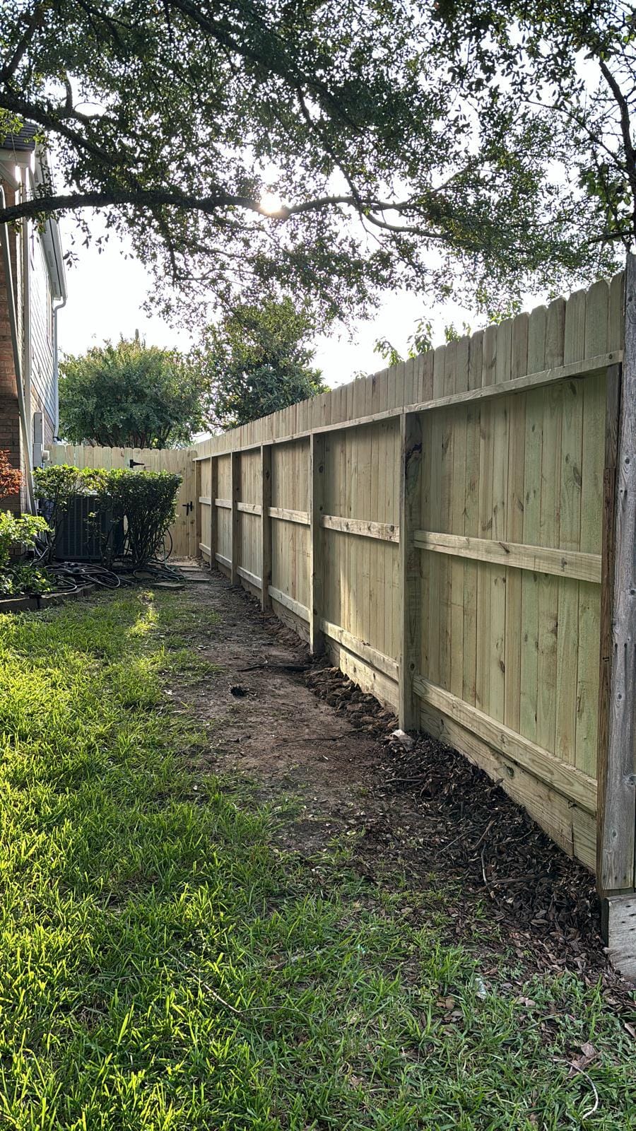 New pine privacy fence running down a side yard under mature trees