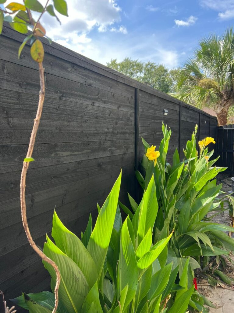 Durable privacy fence in a coastal Galveston-area yard with palm trees