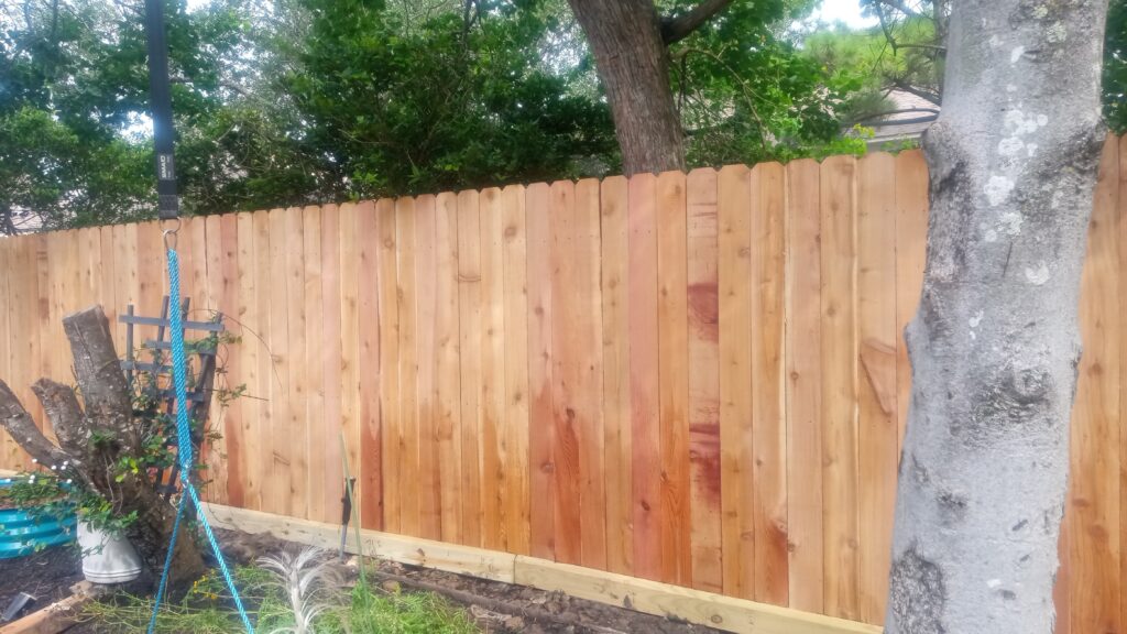 Newly installed wood fence in a Galveston-area yard