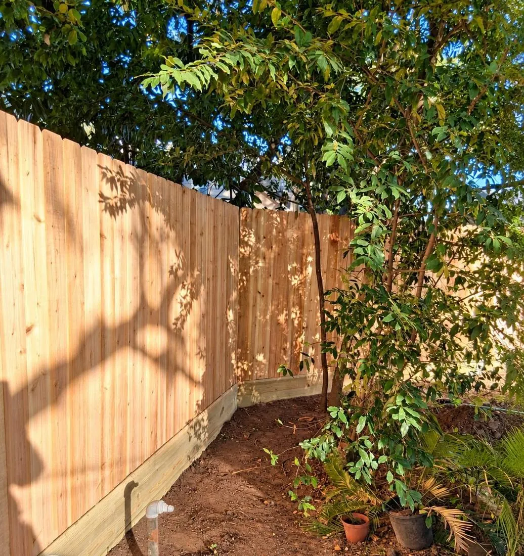 Wood privacy fence behind leafy plants