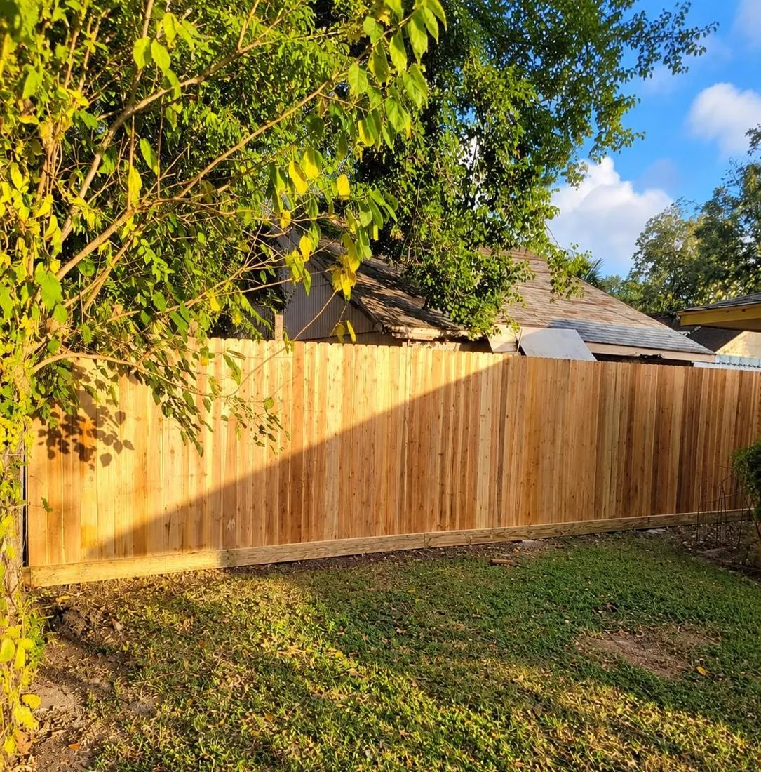 Wood privacy fence in evening sun